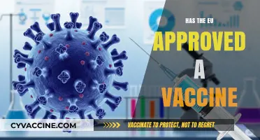 EU Approves COVID-19 Vaccine: What You Need to Know Now