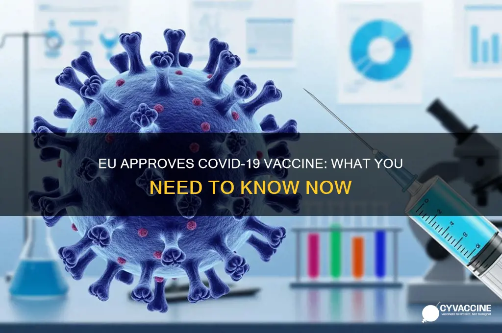 has the eu approved a vaccine