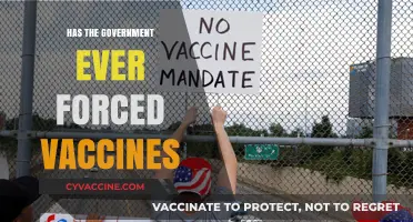 Government-Mandated Vaccines: Historical Precedents and Public Health Implications