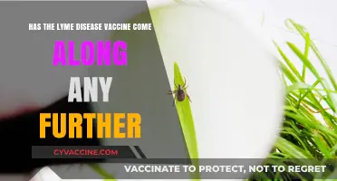 Lyme Disease Vaccine: Recent Advances and Future Prospects Explored