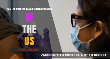 Novavax Vaccine Approval in the US: What's the Latest Update?
