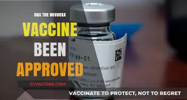 Novavax Vaccine Approval: What’s the Latest Update?