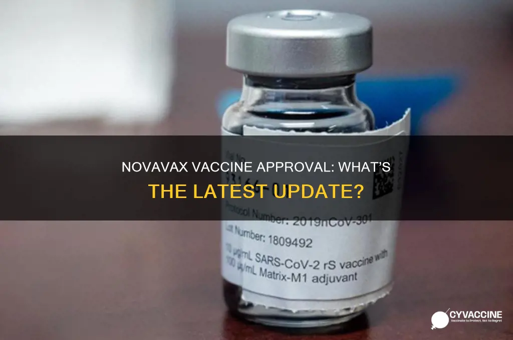 has the novavax vaccine been approved