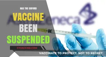 Oxford Vaccine Suspension: Current Status and Global Implications Explained