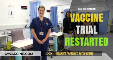 Oxford Vaccine Trial Resumes: What You Need to Know Now