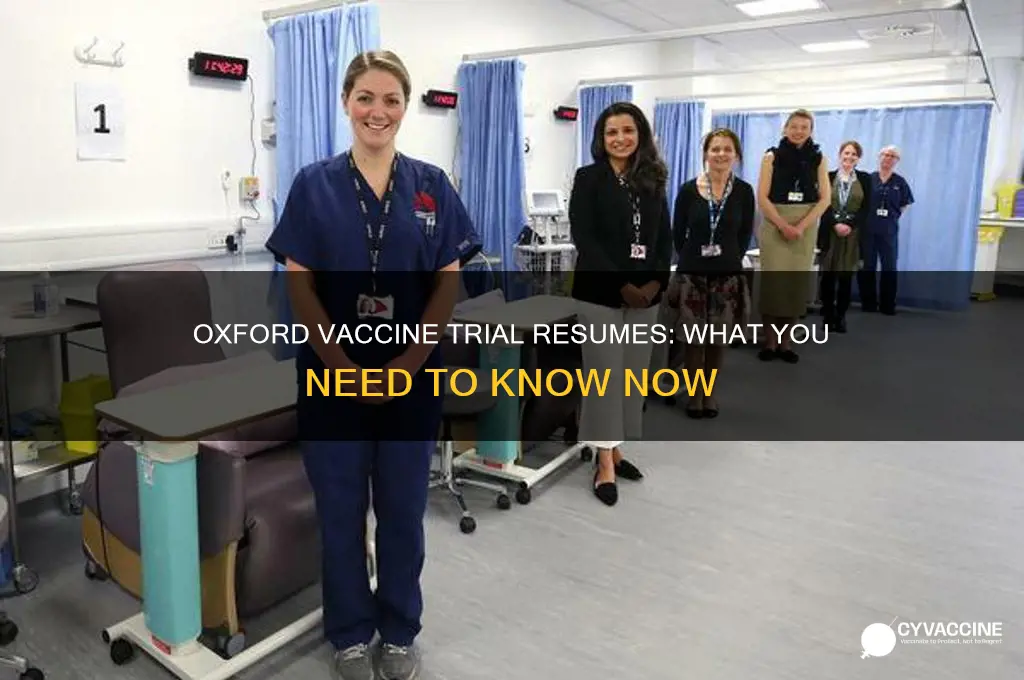 has the oxford vaccine trial restarted