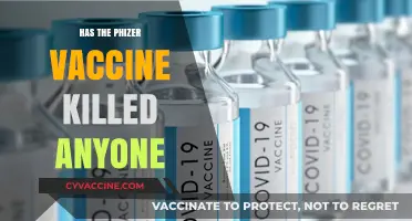 Pfizer Vaccine Safety: Examining Claims of Fatalities and Evidence