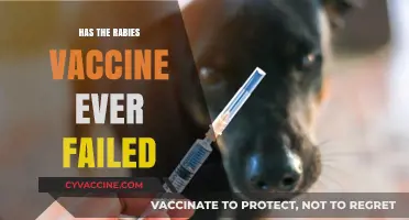 Rabies Vaccine Failure: Rare Cases and Critical Prevention Insights