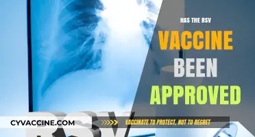 RSV Vaccine Approval: What You Need to Know Now