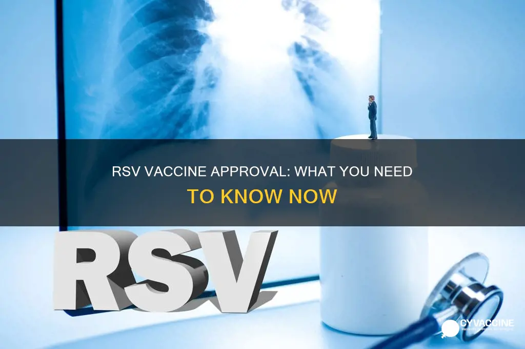 has the rsv vaccine been approved