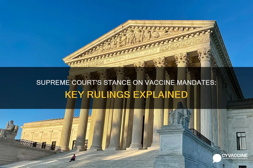 has the supreme court ruled on the vaccine