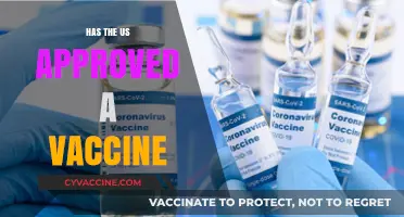 US Vaccine Approval: What You Need to Know Now