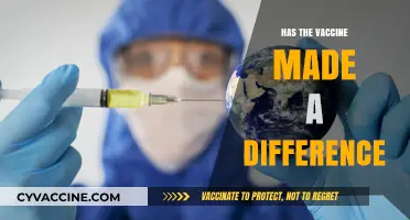 Vaccine Impact: Assessing Global Health Changes Post-Immunization Rollout