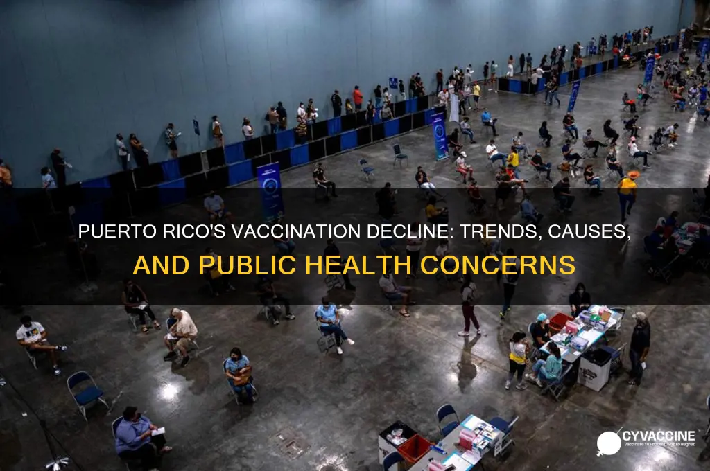 has there been a decline in vaccination in puerto rico