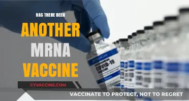 Exploring Beyond COVID-19: Are New mRNA Vaccines on the Horizon?