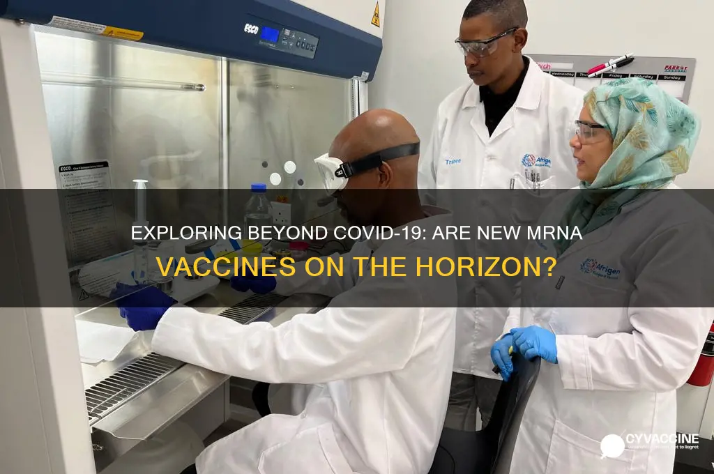 has there been another mrna vaccine