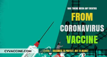 Coronavirus Vaccine Safety: Investigating Reported Deaths and Facts