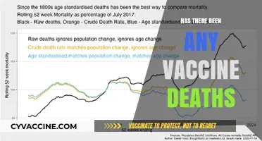 Vaccine Safety Concerns: Investigating Reported Deaths Post-Vaccination
