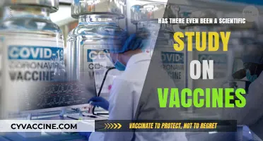 Scientific Studies on Vaccines: Separating Fact from Fiction