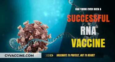 RNA Vaccines: A Breakthrough in Medicine with Proven Success Stories