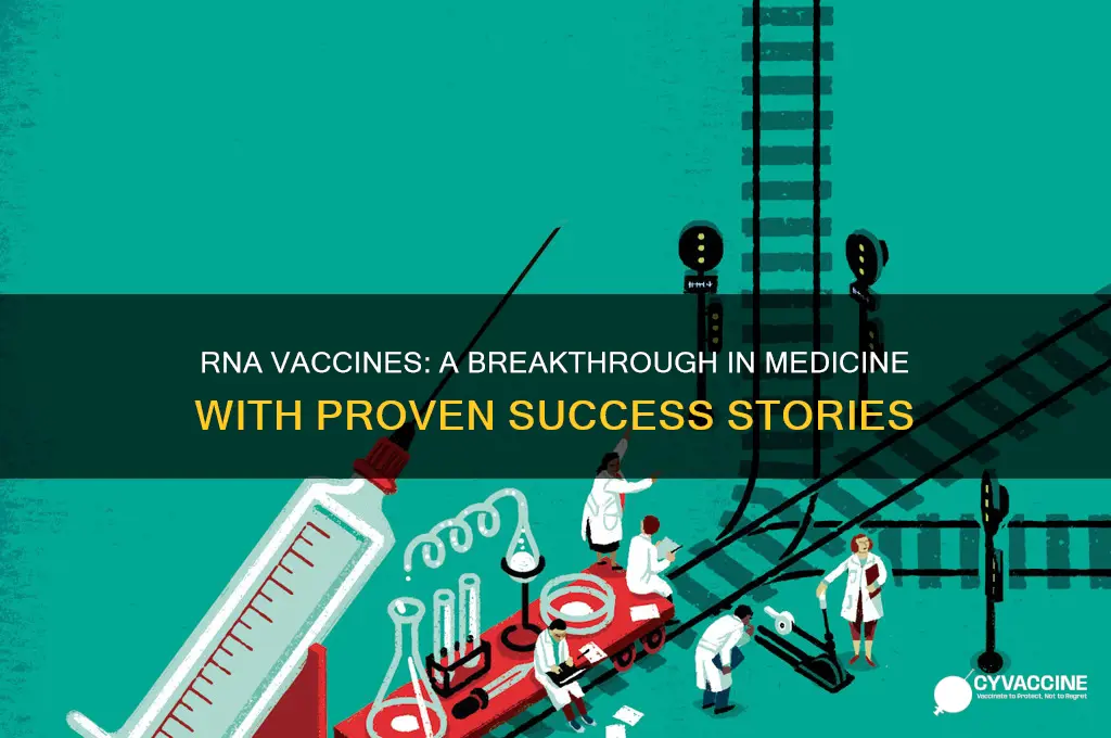 has there ever been a successful rna vaccine