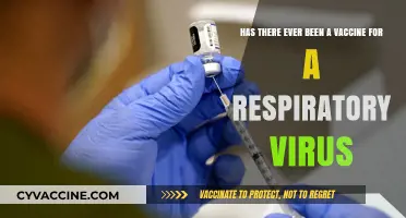 Respiratory Viruses and Vaccines: A Historical Overview of Immunization Efforts
