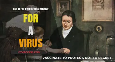 Exploring the History of Viral Vaccines: Have We Conquered Any?