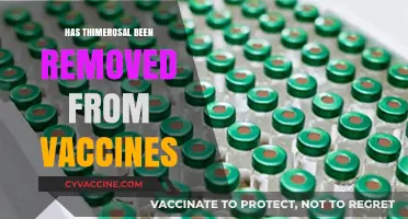 Thimerosal in Vaccines: Current Status and Safety Concerns Explained