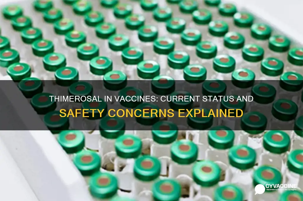 has thimerosal been removed from vaccines