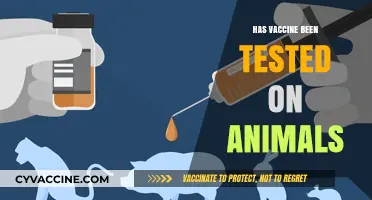 Animal Testing in Vaccines: Ethical Concerns and Scientific Necessity