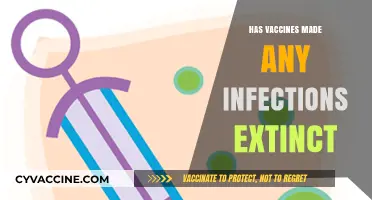 Vaccines' Triumph: Eradicating Infections and Shaping a Healthier Future