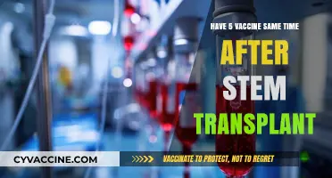 Can You Safely Receive Multiple Vaccines Post-Stem Cell Transplant?