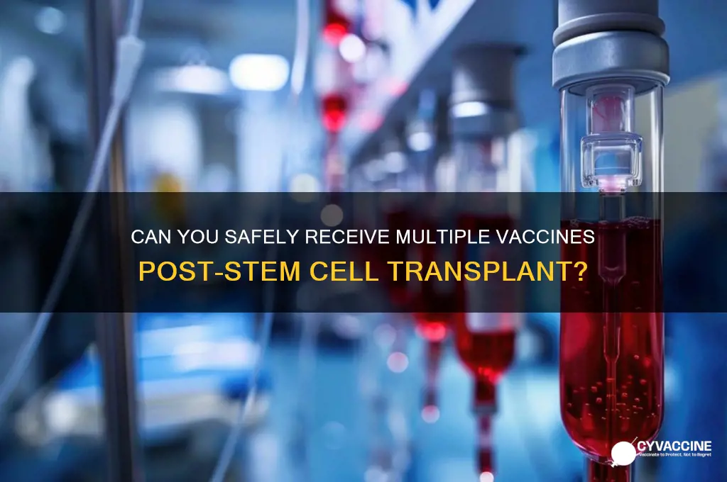 have 5 vaccine same time after stem transplant