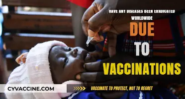 Vaccination Victories: Diseases Eradicated Globally Thanks to Immunization Efforts