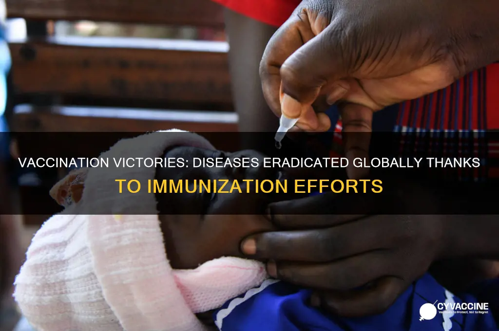 have any diseases been eradicated worldwide due to vaccinations