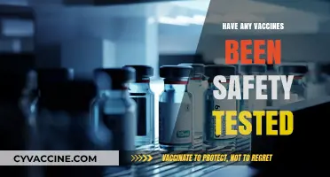 Vaccine Safety Testing: What You Need to Know About Clinical Trials