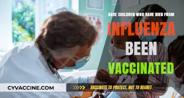 Child Flu Deaths: Were Vaccinations Administered? Exploring the Facts