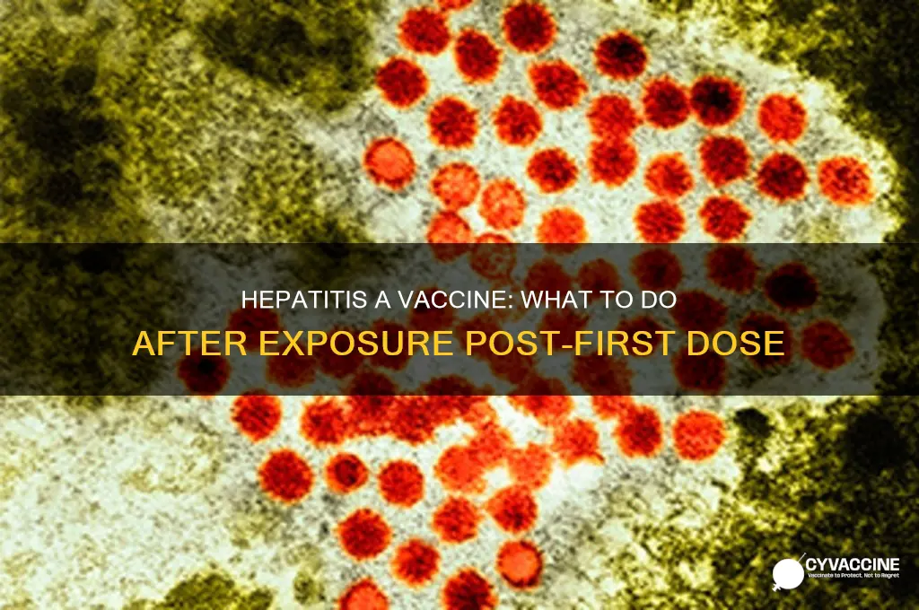 have had one vaccine hep a then expised