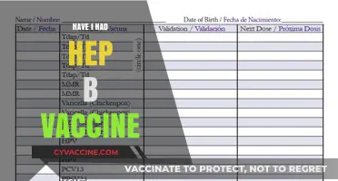 Have I Had the Hep B Vaccine? How to Check Your Immunization Status