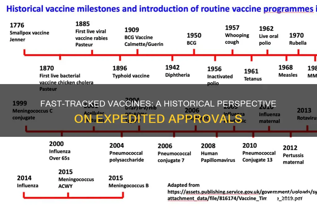 have other vaccines been fast tracked