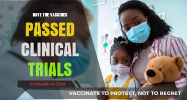 Vaccine Safety Confirmed: Clinical Trials Completed, Results Explained