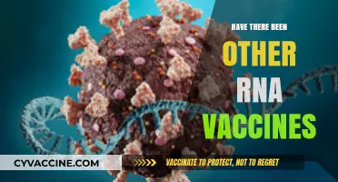 Beyond COVID-19: Exploring the History and Potential of RNA Vaccines