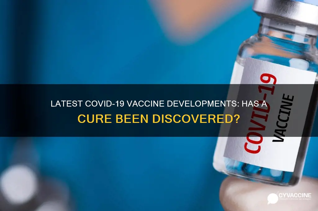 have they found vaccine for covid19