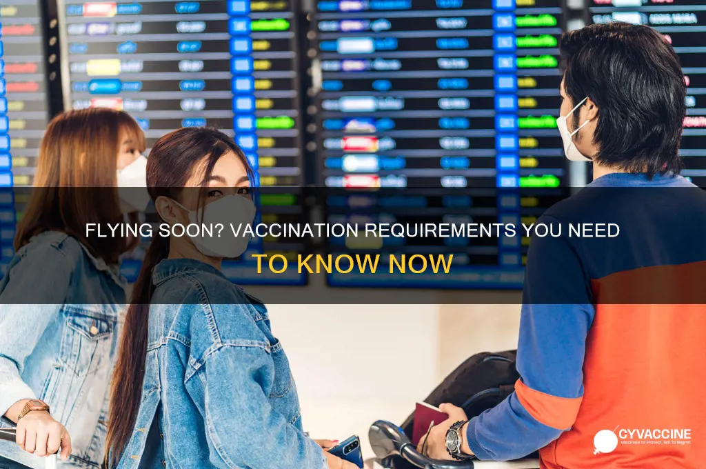 have to be vaccinated to fly