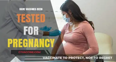 Pregnancy and Vaccines: Safety, Testing, and What Expectant Mothers Need to Know