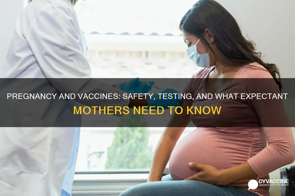 have vaccines been tested for pregnancy