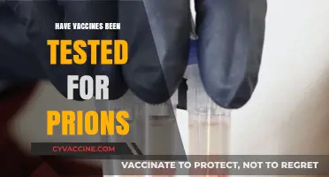 Vaccines and Prions: Examining Safety Testing and Potential Risks