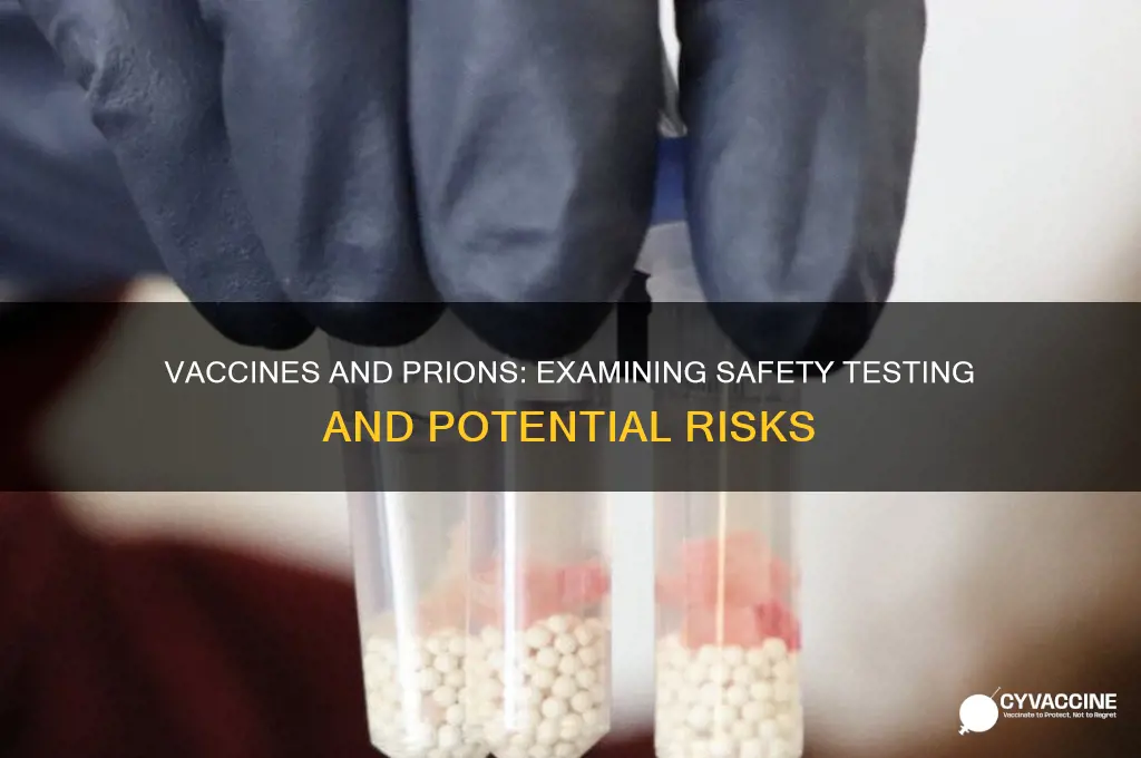 have vaccines been tested for prions