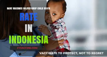 Vaccines' Impact: Reducing Child Mortality Rates in Indonesia