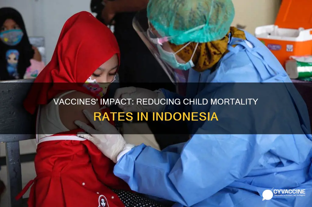 have vaccines helped drop child death rate in indonesia